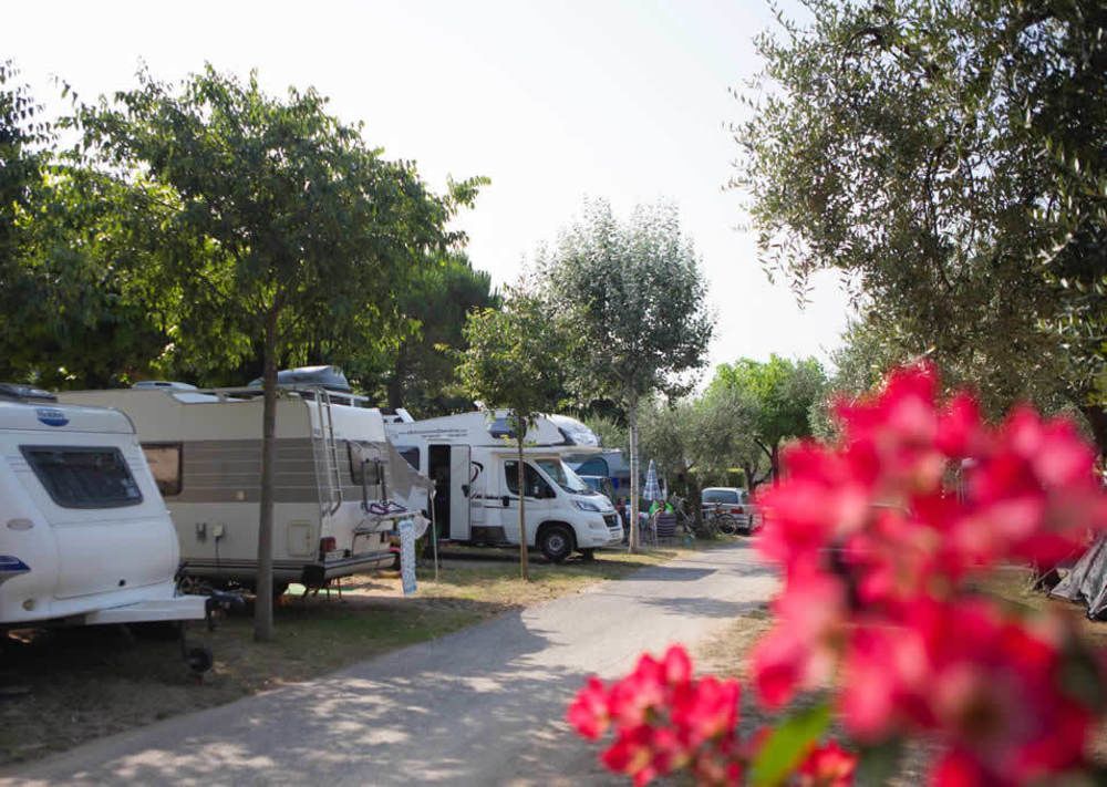 Camping Serenella Бардоліно Екстер'єр фото