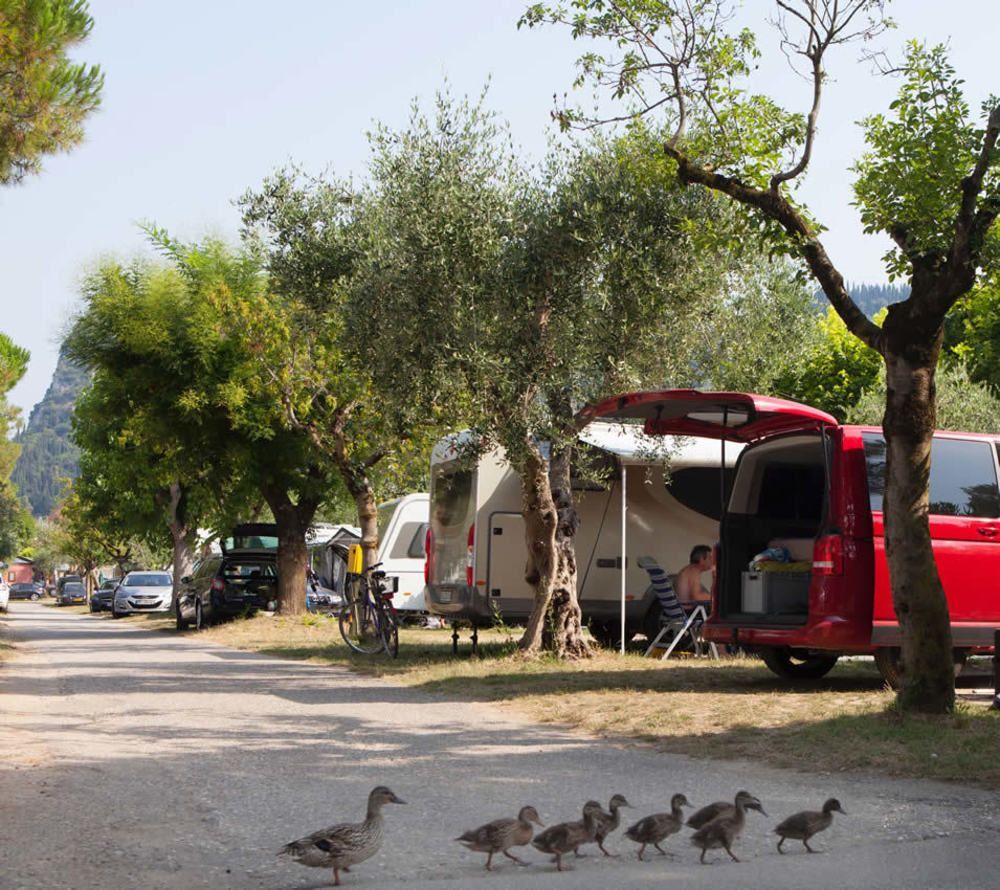 Camping Serenella Бардоліно Екстер'єр фото